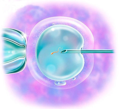 天津和平区借卵试管公司借卵流程跟注意事项是什么？