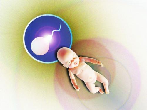 定西市助孕中心供卵生孩子哪家机构靠谱？