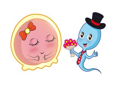 邯郸市成功率高的生子公司?很多人是不是推荐三甲医院?