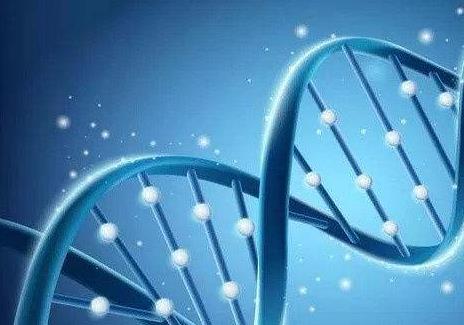 三亚市同性生子费用多少?