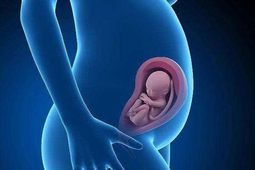 儋州市如何选择助孕机构？