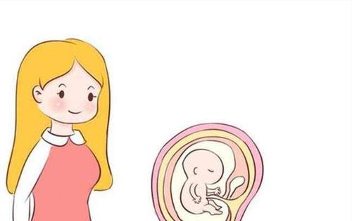 沧州市同性生子价格多少?
