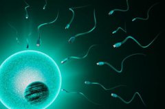 武威市成功率高的供卵助孕卵子库