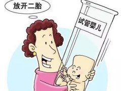 宜春供卵试管包成功需要多少钱？详细付款单子有吗？