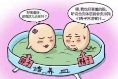 圣安多尼堂区做借卵试管首选哪家机构？三甲医院是不是比较好？