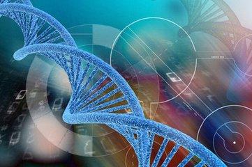 忻州市三代试管婴儿可以实现生育男孩吗?费用多少?