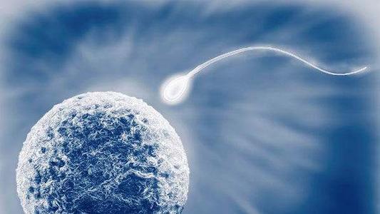 巴彦淖尔市医院做供卵试管助孕成功率怎么样？