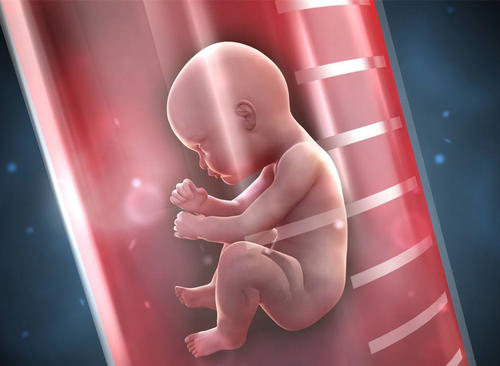 德阳市三代试管婴儿可以实现生育男孩吗?费用多少?