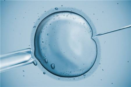 新界供卵生育包成功需要多少钱？