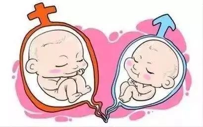 新北做借卵试管首选哪家机构?三甲医院是不是比较好?