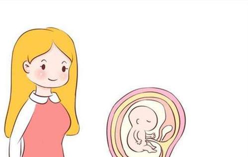 望德堂区同性生子需要多少钱?