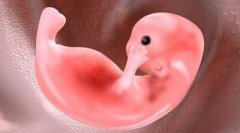 西安市三代试管供卵婴儿周期费用介绍