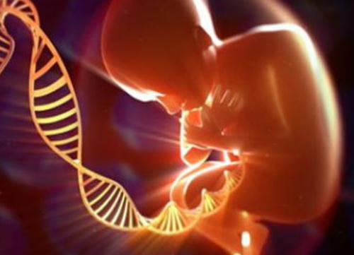 阜阳同性生子多少钱?